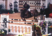 Obstacle CSO Oxer