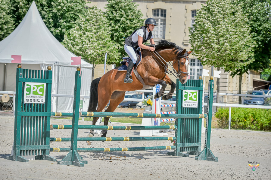 Vente de cheval : Electra 