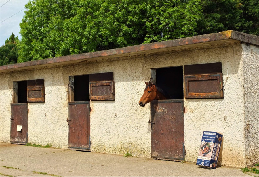 Pension de propritaires