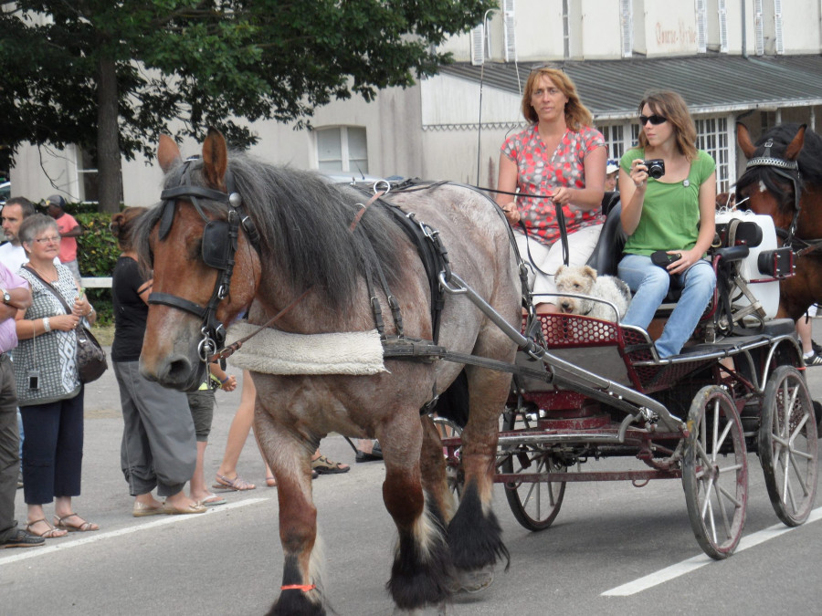 A l'arrive de l'quirando, nous avions fait vernon le haras du pin en 10 jours...mon cheval est ama