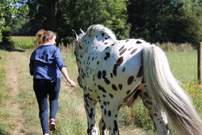 Photo de profil de chaptye