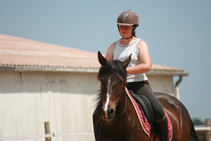 Photo de profil de equiharmonie